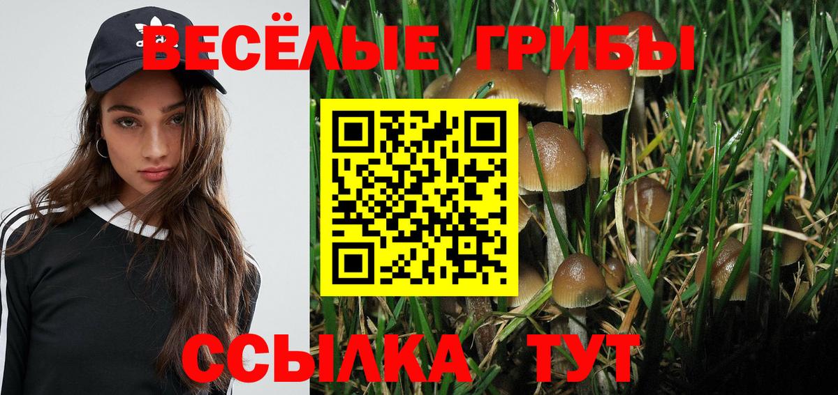 Лесной  Псилоцибиновые грибы Cubensis  купить наркоту  Вход с VPN 