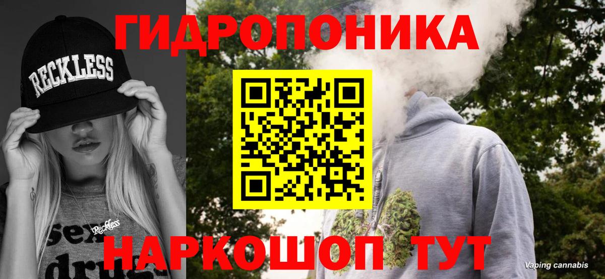 Марихуана OG Kush Лесной